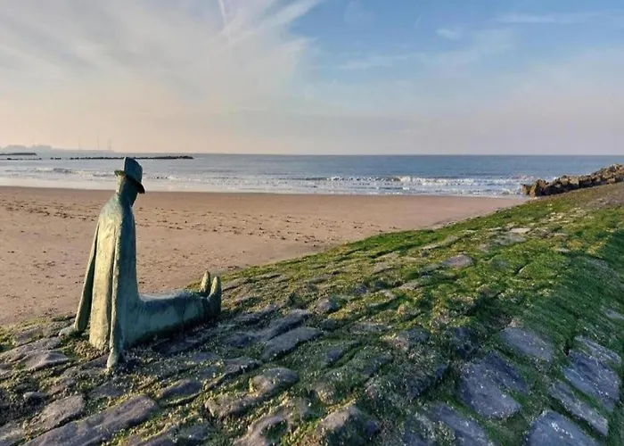 Appartement Hideaway Knokke-Heist