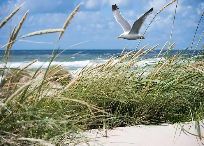 Appartement Hideaway Knokke-Heist